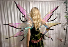 Load image into Gallery viewer, Black tips fairy wings iridescent zena 