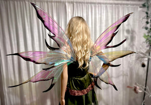 Black tips fairy wings iridescent zena 