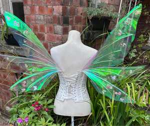 Botanical flower fairy wings