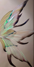 Load image into Gallery viewer, Large iridescent black tips wings
