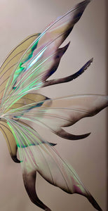 Large iridescent black tips wings