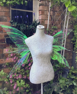 Butterfly fairy wings costume wings iridescent wings 