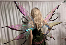 Load image into Gallery viewer, Large iridescent black tips wings