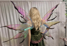 Load image into Gallery viewer, Large iridescent black tips wings