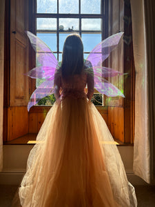 Butterfly fairy wings