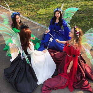 Iridescent fairy wings