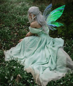 Iridescent fairy wings