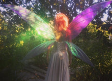 Load image into Gallery viewer, Tall Fairy Wings