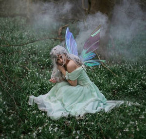 Iridescent fairy wings