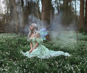 Iridescent fairy wings