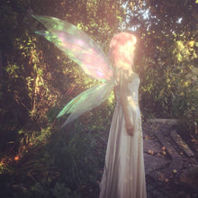 Load image into Gallery viewer, Tall Fairy Wings