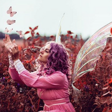 Load image into Gallery viewer, Iridescent fairy wings