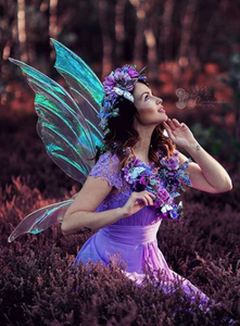 Iridescent fairy wings