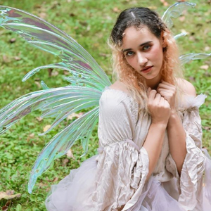 Zena iridescent fancy fairy wings 