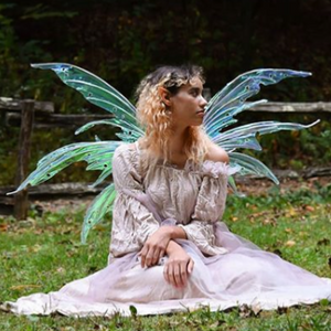Zena iridescent fairy wings
